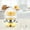 New--Yellow, variant on Popular Picks,Multifunctional Eggs Cooker (double Layer, US Standard)
