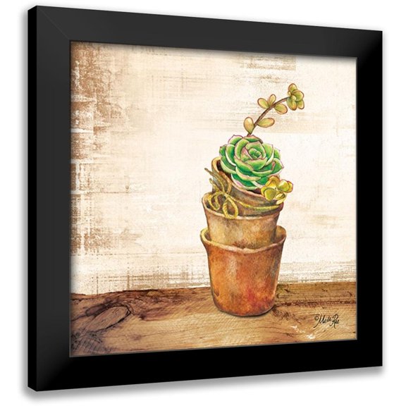 Rae, Marla 12x12 Black Modern Framed Museum Art Print Titled - Succulents in a Pot