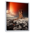 thumbnail image 2 of Designart "Rainbow Monochrome happiness" Landscape & Nature Floater Framed Wall Art Living Room, 2 of 7