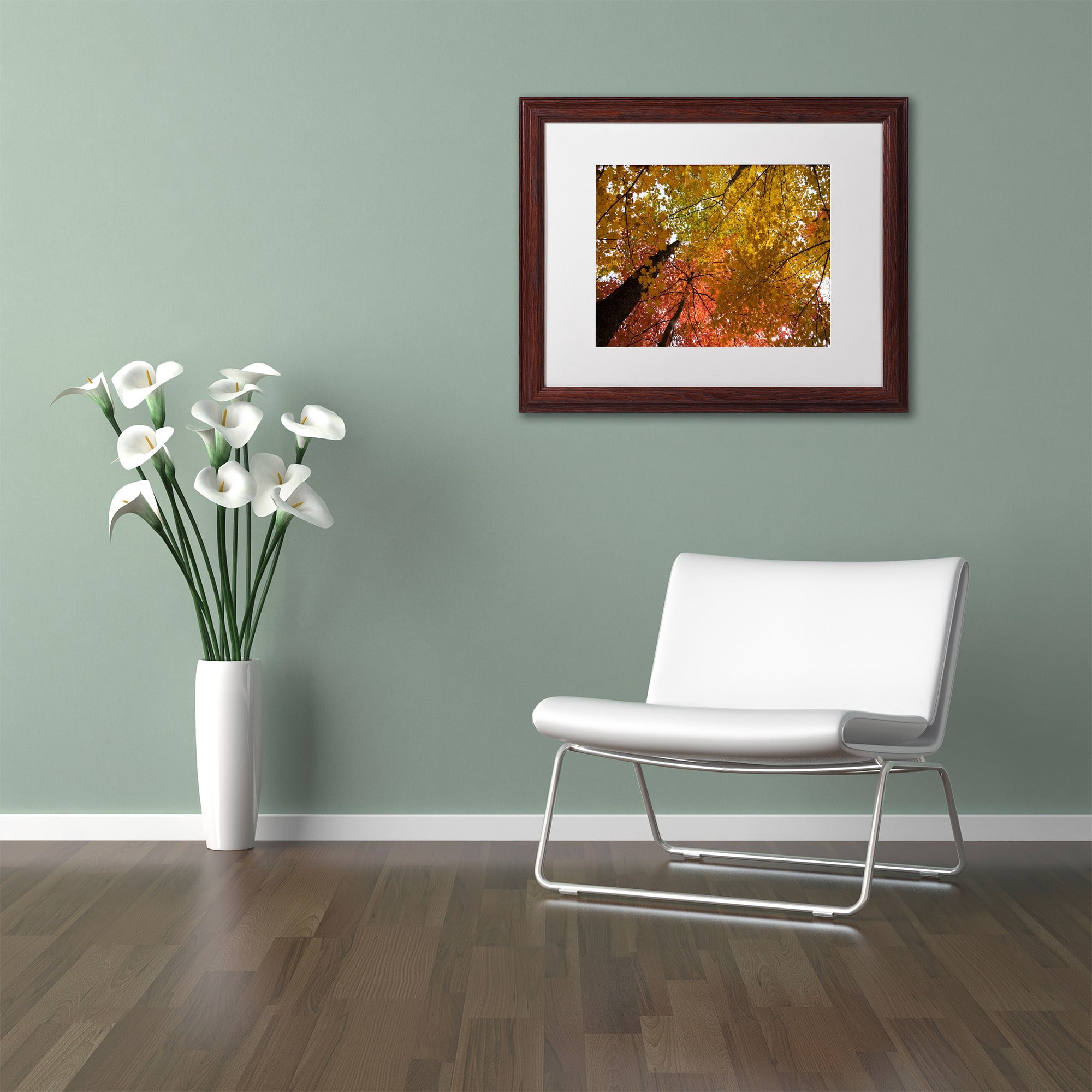 Trademark Fine Art "Spectacular Brilliant Autumn Trees" Canvas Art by Kurt Shaffer, White Matte, Wood Frame