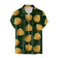 thumbnail image 3 of Camisas Hombre Manga Larga Hombres Casual Manga corta Primavera Verano Turndown Neck 3D Impreso Camisas Moda Top Blusa Camisas (Green, S), 3 of 4
