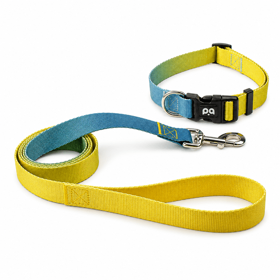 Yellow Blue Dog Collar and Leash Set, Adjustable Nylon