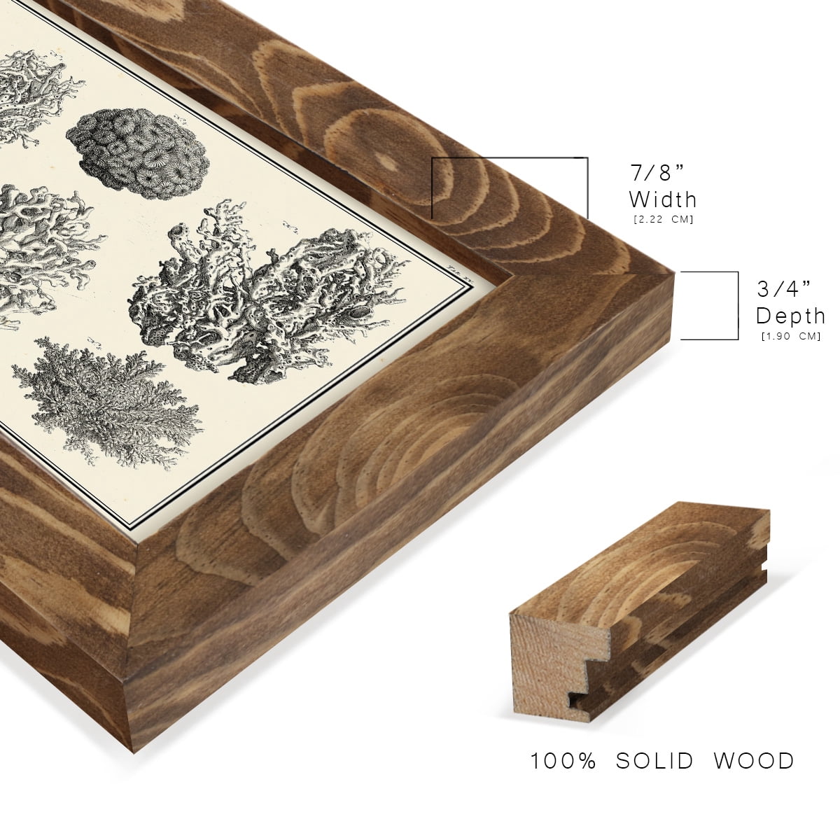 Aegean Collection IV -Framed Print w/glass-Walnut