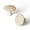Cream Gold, variant on 6 Pack Antique Brass Solid Zinc Alloy Starburst Cabinet Knobs