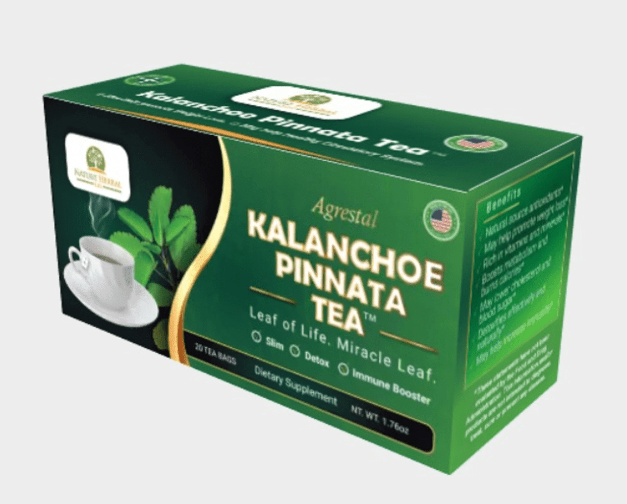 Kalanchoe Pinnata-Leaf of Life (Bryophyllum Pinnatum) Tea- Antioxidantes (20 Tea Bags)