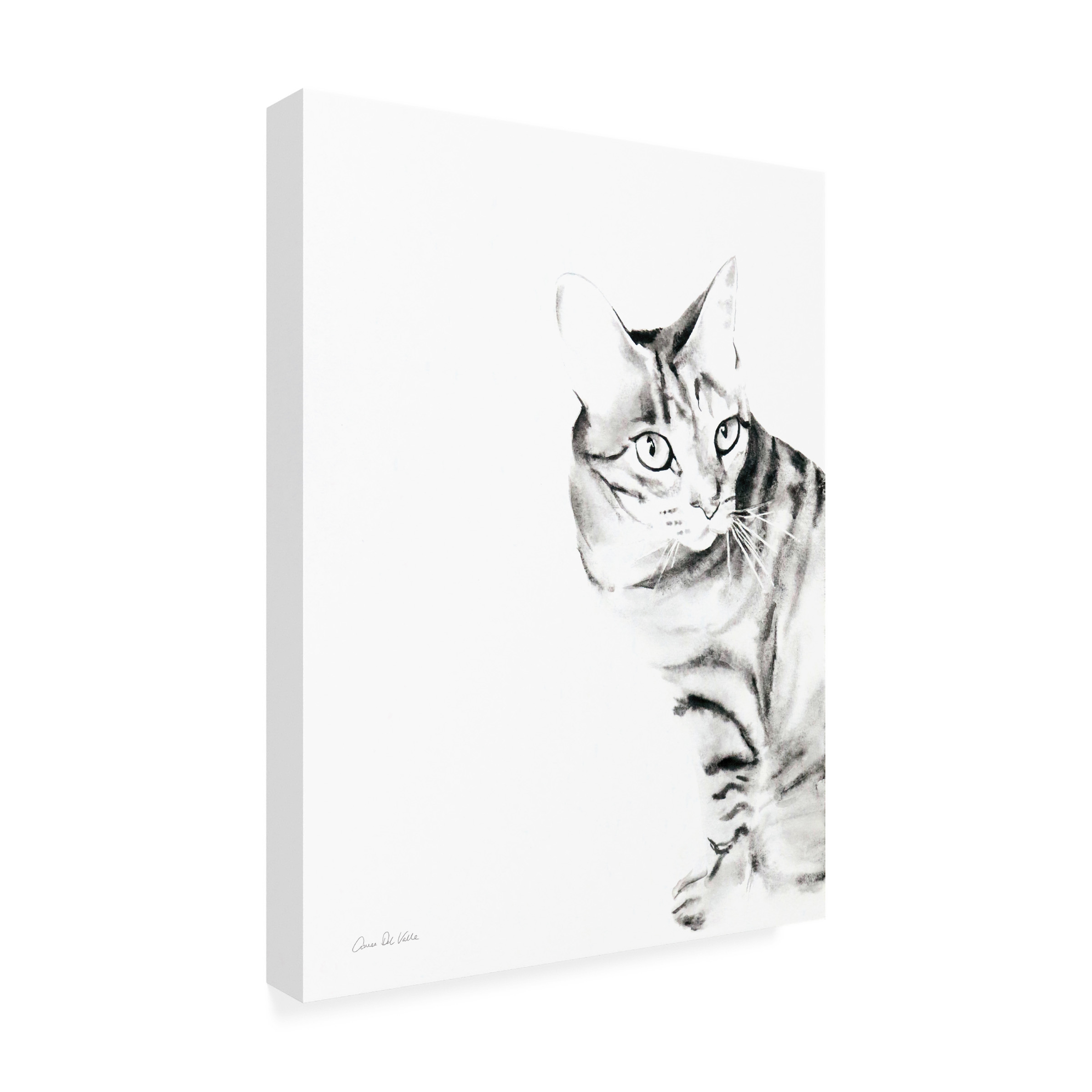 Trademark Fine Art 'Sadie the Cat' Canvas Art by Aimee Del Valle