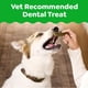 thumbnail image 2 of Greenies Original Dental Treats, Golosinas de cuidado dental para perros 54 oz (Paquete de 34 golosi, 2 of 8