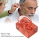 thumbnail image 3 of Modelo De Oreja Derecha, Modelo De Exhibición De Oreja De Alta Simulación Acrílico Multifuncional Para Observación, 3 of 7