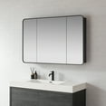 thumbnail image 4 of Talayuela 48 in.W x 32 in.H Aluminum Framed Medicine Cabinet in Brushed Black, 4 of 17