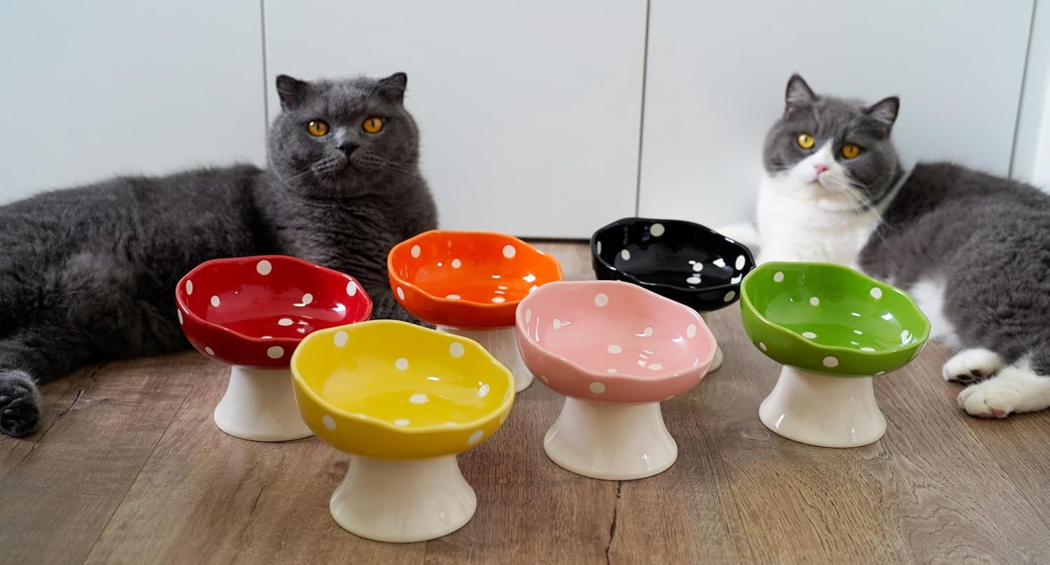 Ceramic Elevated Cat Bowls, Tilted Raised Pet Dish Anti Vomit Kitten Bowl for Indoor Cats, Whisker Friendly Pet Food and Water Bowl for Kitten, Cat, Puppies, Dishwasher Safe (Green)