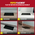 thumbnail image 5 of Catchmaster Rat, Snake & Mouse Traps 10Pk, Classic Glue Traps for Mice, Home Pest Control, 5 of 8