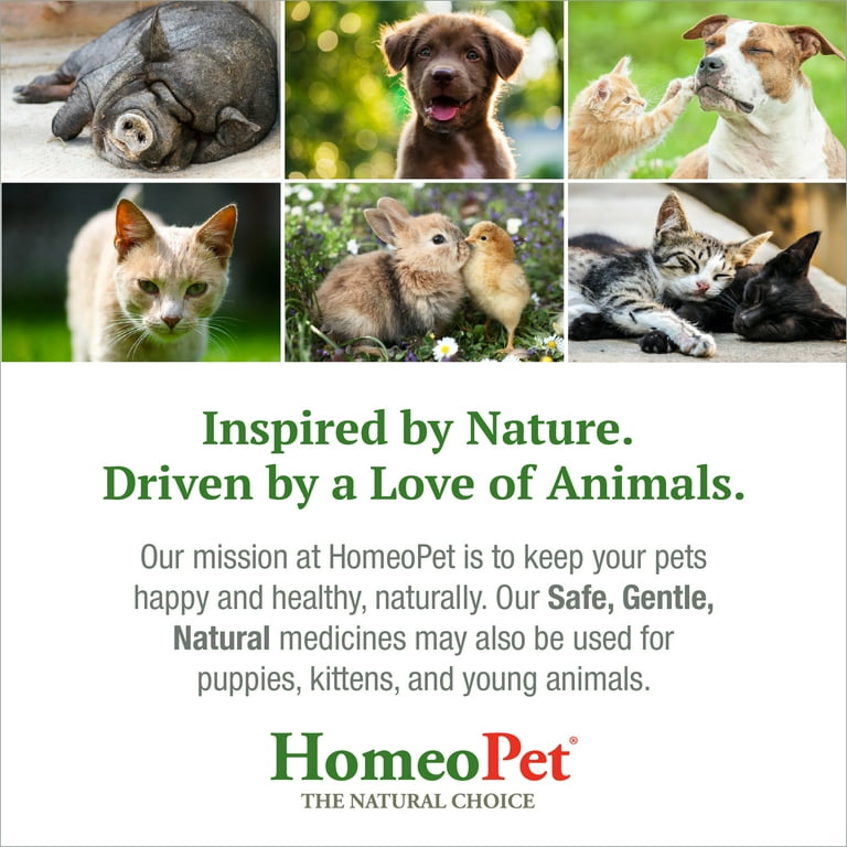 HomeoPet Feline Anxiety Relief Calming Natural Pet Relaxant Solution for Cats 15 Milliliter Bottle