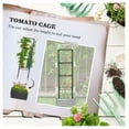 thumbnail image 4 of Outsunny Galvanized Raised Garden Bed, 24" x 24" x 11.75" Outdoor Planter Box with Trellis Tomato Cage and Open Bottom for Climbing Vines, Vegetables, Flowers in Backyard, Garden, Patio, Gray, 4 of 9