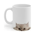 thumbnail image 3 of Gulf Coast Online Funny Cat Mug 11oz White Ceramic Tea Cup - Persian Cat, 3 of 4