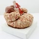 thumbnail image 4 of Modelo Anatómico del Cerebro Modelo anatómico del Sistema Nervioso Cerebral de Arteria Cerebral, 4 of 9