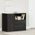 thumbnail image 2 of South Shore Hourra, Contemporary Door Chest with 2 Drawers, Gray Oak, 2 of 13
