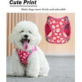 thumbnail image 2 of M ROSEO Flower Pattern Dog Harness and Leash Set,No Escape Puppy Harnesses for Training Walking，Breathable Adjustable Puppy Vest for Small Medium Dogs, Cats (ROSEO, M), 2 of 9