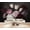 Color 3, variant on Wallpaper Soft Pink Protea Flower Watercolor Delicate Leaves Pastel Peel and Stick Wall Murals 69"H x 96"W Removable PVC Wall Paper Self-Adhesive Wall Paintings Art Decor for Bedroom Living Room
