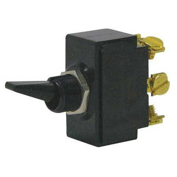 Toggle Switch,DPST,10A 250V,Screw