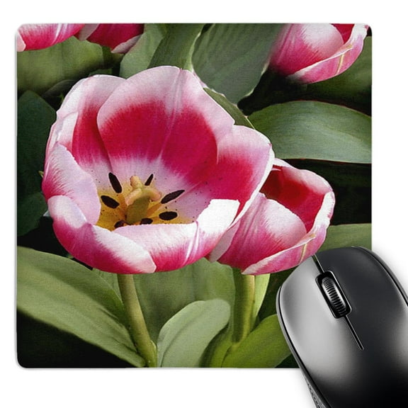 3dRose, Tulips, MousePad