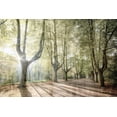 thumbnail image 2 of Kimberly, Allen 24x17 Gold Ornate Wood Framed with Double Matting Museum Art Print Titled - Sunlight Streams, 2 of 4