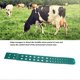 thumbnail image 2 of 10 Pcs Cow Pedometers TPU Estrus Warning Pedometers for Farm Management, 2 of 4
