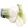 thumbnail image 2 of Cebollitas cambray por manojo, 2 of 4