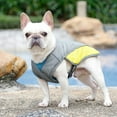 thumbnail image 3 of El nuevo chaleco refrigerante para perros de 1 pieza, 3 of 3