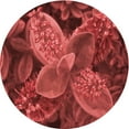 thumbnail image 1 of Ahgly Company Machine Washable Indoor Round Transitional Tomato Red Area Rugs, 3' Round, 1 of 7
