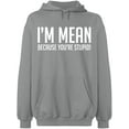 thumbnail image 2 of OXI Hoodie Sweatshirt - I Am Mean Because You Are Stupid, Basic Casual Hoodie for Men's and Women Fleece Hoodie Long Sleeve - Sport Grey 3X-Large, 2 of 3