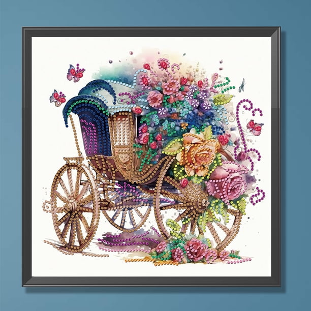 Pintura de diamante 5D DIY Kit de taladro en forma especial parcial Flotador Decoración para el hogar (WQ025) Hugtrwg Para estrenar