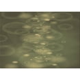 thumbnail image 1 of Ahgly Company Machine Washable Indoor Rectangle Transitional Army Green Area Rugs, 6' x 9', 1 of 7