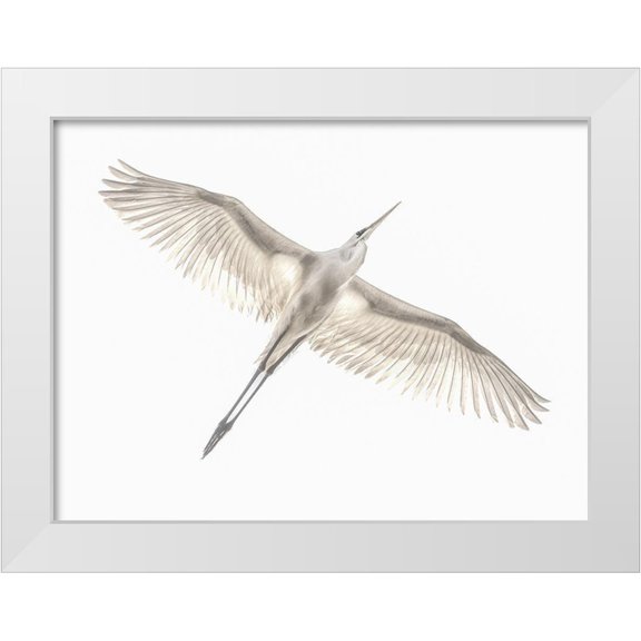 Or, Keren 14x12 White Modern Wood Framed Museum Art Print Titled - Fly