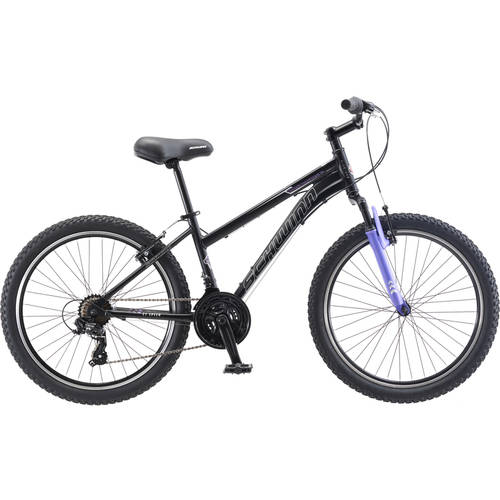 schwinn sidewinder 24 purple