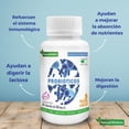 thumbnail image 2 of Probioticos Natural Wisdom 60 capsulas NATURAL WISDOM Suplemento, 2 of 5
