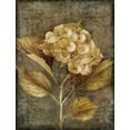 thumbnail image 2 of Loreth, Lanie 19x24 Gold Ornate Wood Framed with Double Matting Museum Art Print Titled - Antique Hydrangea I, 2 of 4