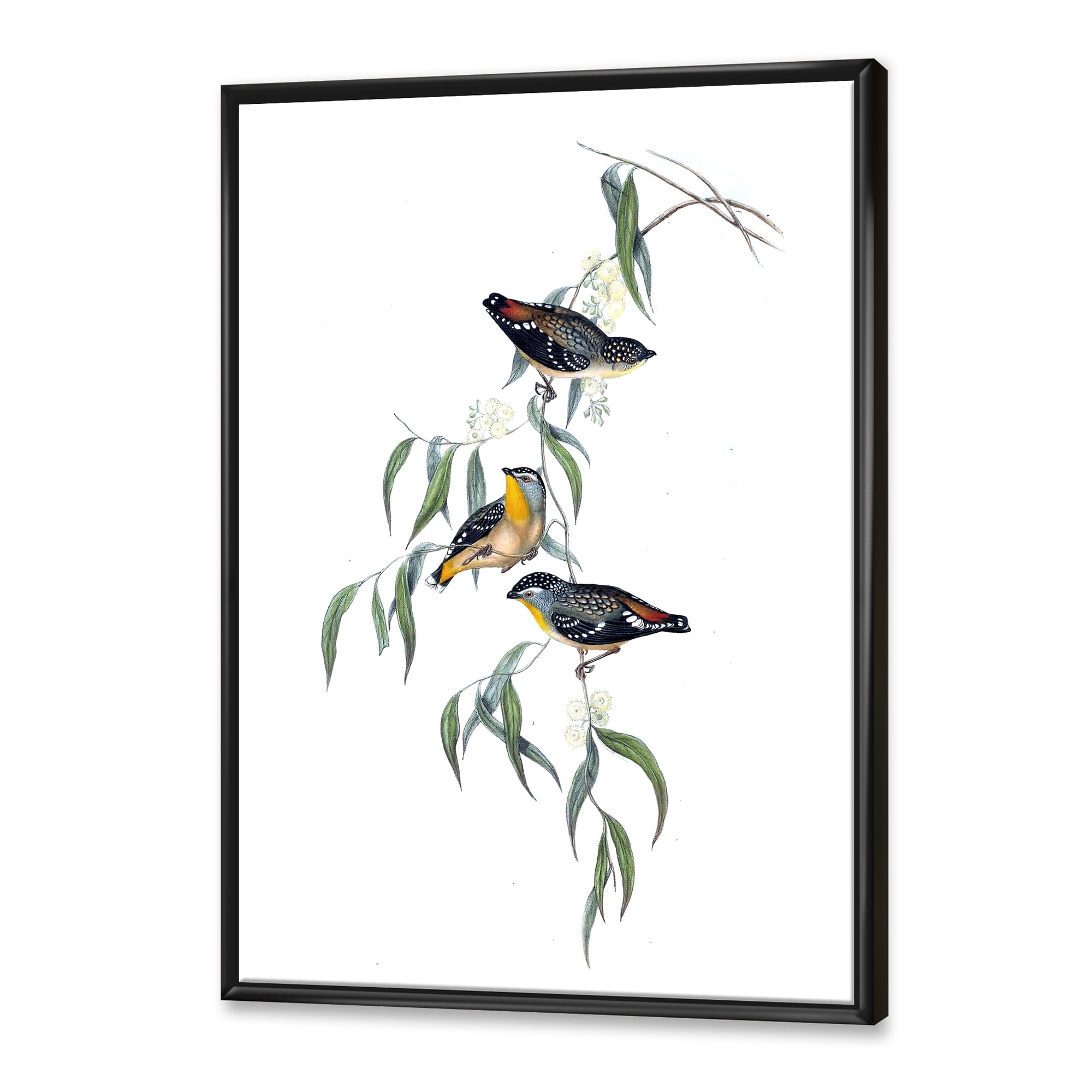Designart 'Ancient Bird Life III' Traditional Framed Canvas Wall Art Print