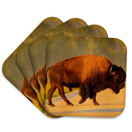 3drose, Canada, Manitoba, Riding Mountain National Park. Bison Crossing Road., Set of 4 Coasters - Cork