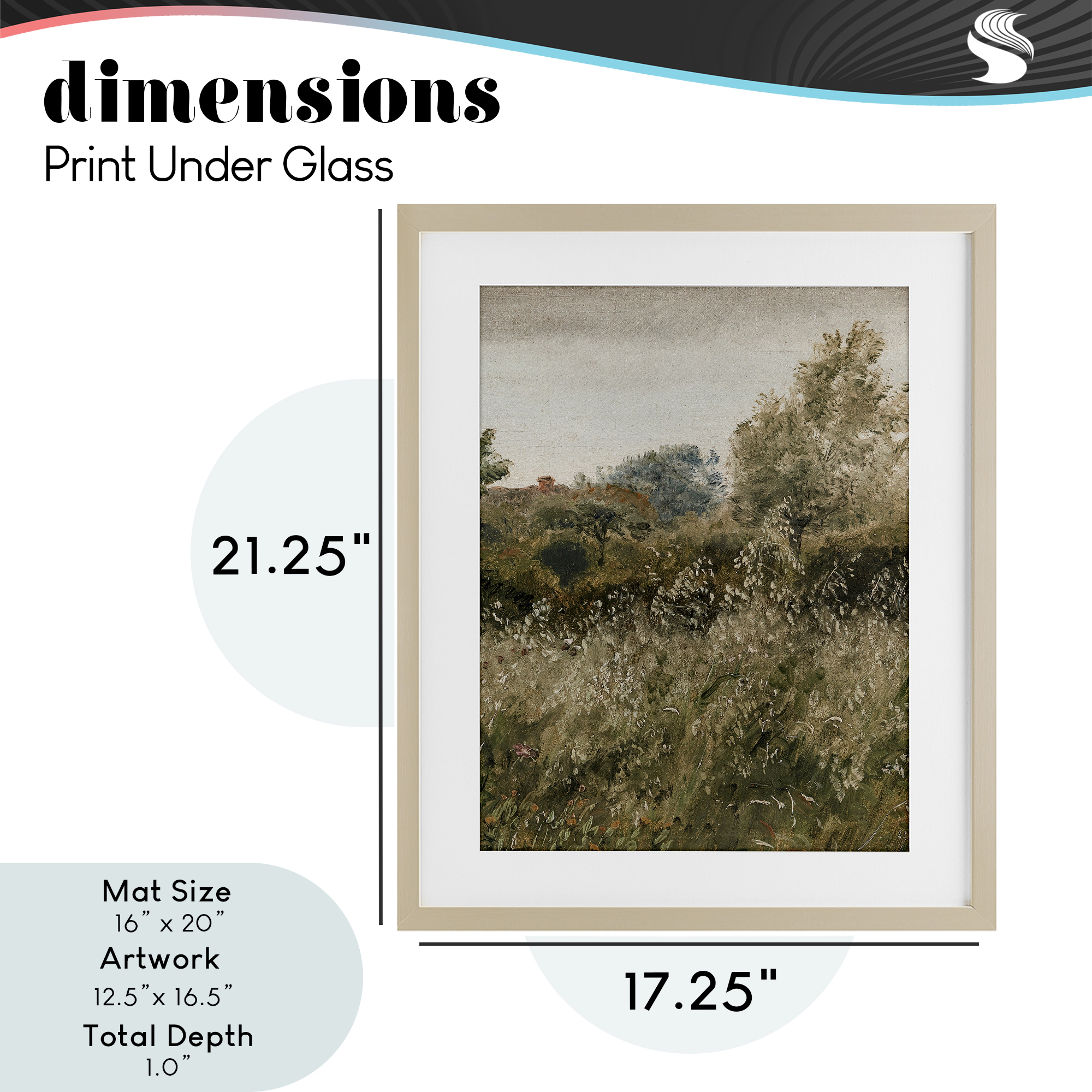 Thicket in Countryside Birch Framed Print Under Glass, design by Lettered and Lined