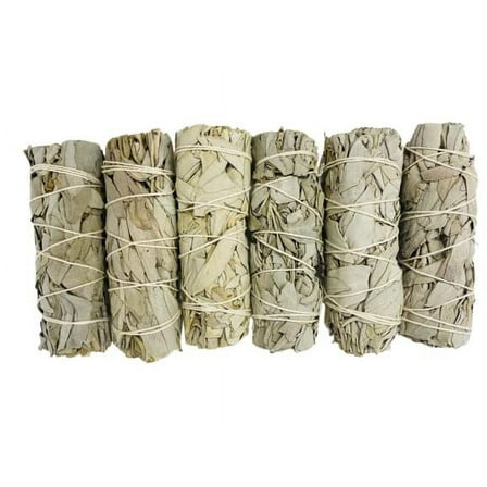 Bholi Sage Plus White Sage Sticks Pack of 6, Sage Smudge Kit 4'' Long Dried Sage Sticks for Meditation, Smudging and Cleansing, Getting Rid Negative Energy, Sustainably Grown California Sage