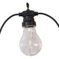 thumbnail image 2 of Kurt Adler 40-Light Edison Bulb Set with Warm White Fairy Lights, 2 of 6