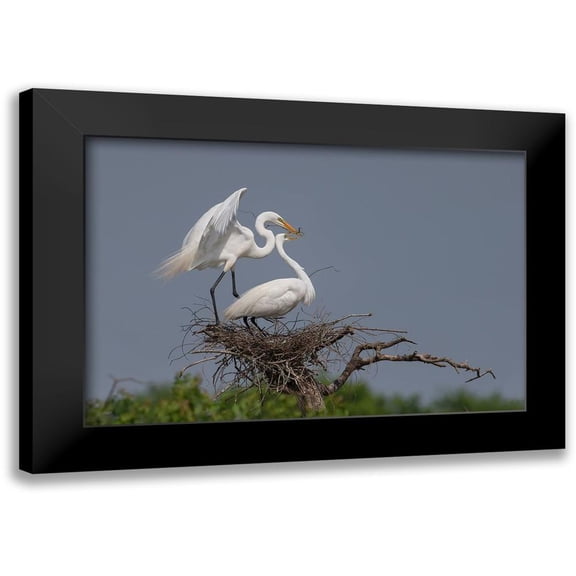 Chang, Phillip 14x11 Black Modern Framed Museum Art Print Titled - Working