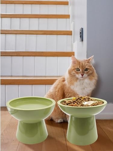 Elevated Green Cat Bowls Set - Wide Raised Ceramic Feeder, Anti-Vomit Whisker-Free Bowl for Kittens to Adult Cats