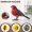 E, variant on F Sound Sensing Bird Toy For Kids 3-6 Years Sings And Chirps Like Real Bird
