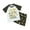 White, variant on KKBOTIVE Infant Boy Clothes Sets Dinosaur Train Collared Short Sleeve T Shirt Tops Summer Teen Boys Sets 2 Piece Outfits, Red Size: 5-6 Years