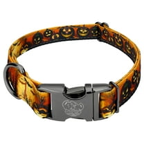Country Brook Petz® Gunmetal Premium Midnight Fright Reflective Dog Collar, Small