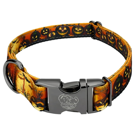 Country Brook Petz® Gunmetal Premium Midnight Fright Reflective Dog Collar, Extra Large
