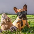thumbnail image 3 of Dog Goggles UV Protection for Small to Medium Breed Dog, Dog Sunglasses Windproof Anti-Fog Dustproof Snowproof, 3 of 5