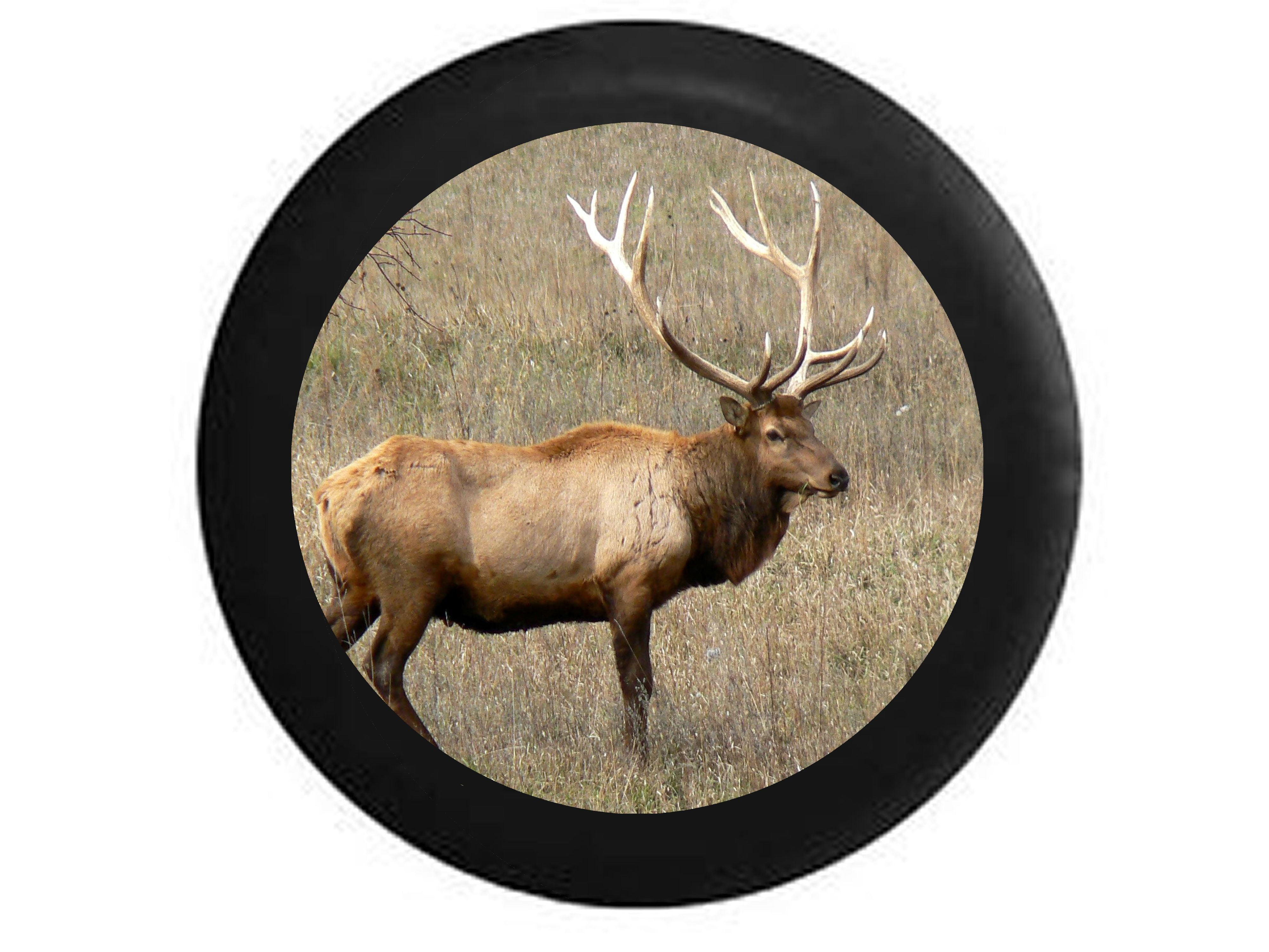 Full Color Large Bull Elk Huge Rack Open Field Jeep RV Camper Spare