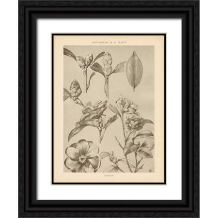 Wild Apple Portfolio 25x32 Black Ornate Wood Framed with Double Matting Museum Art Print Titled - Lithograph Florals II